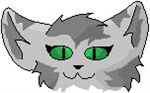 Give A Cat