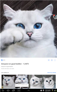 Sevgi Testi