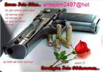 Anteplim2497