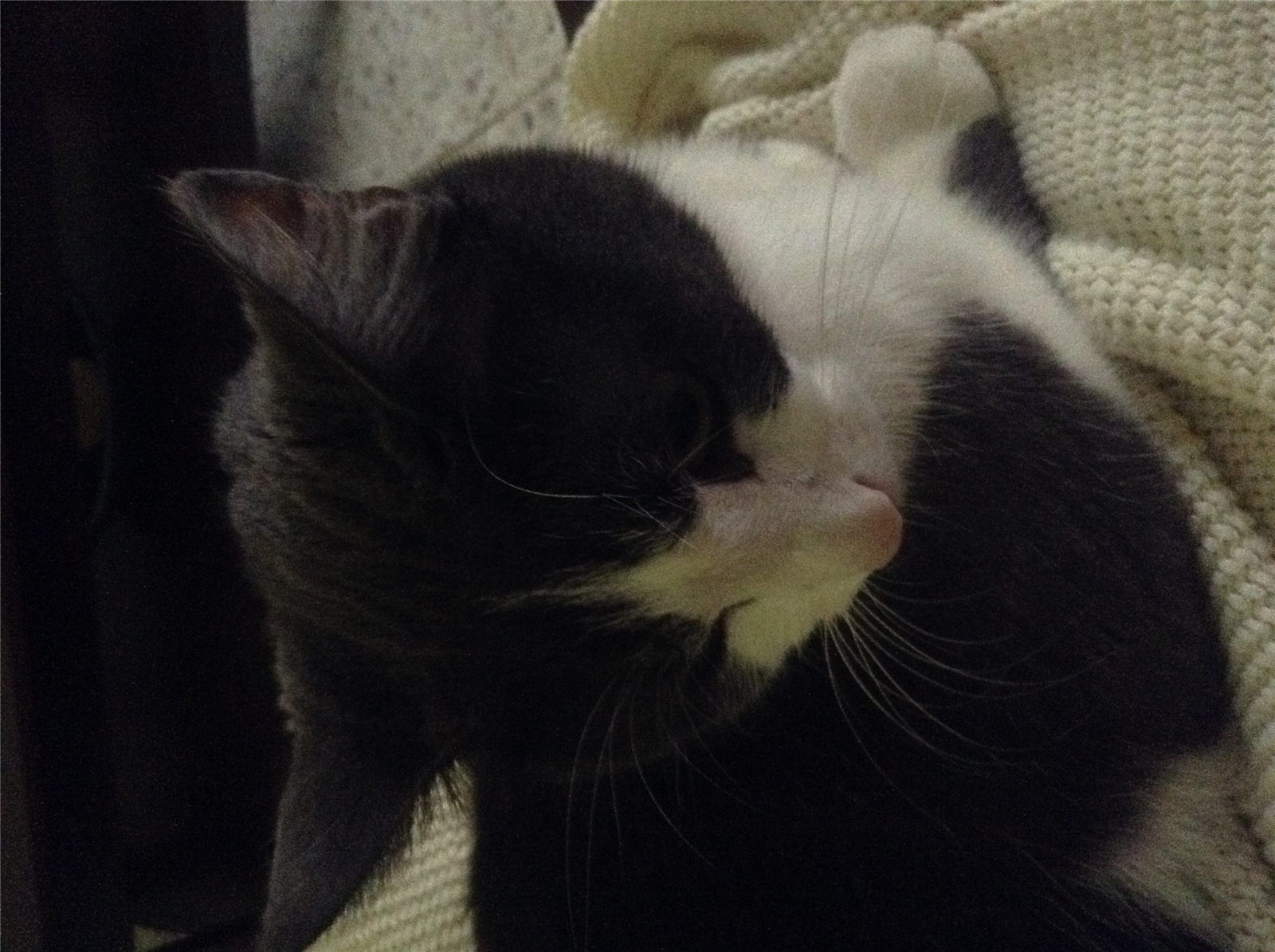 Eres Triste O Feliz