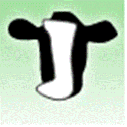 Social Network Jcow