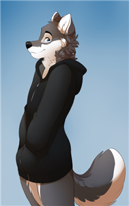 ¿Que Tan Furry Eres?