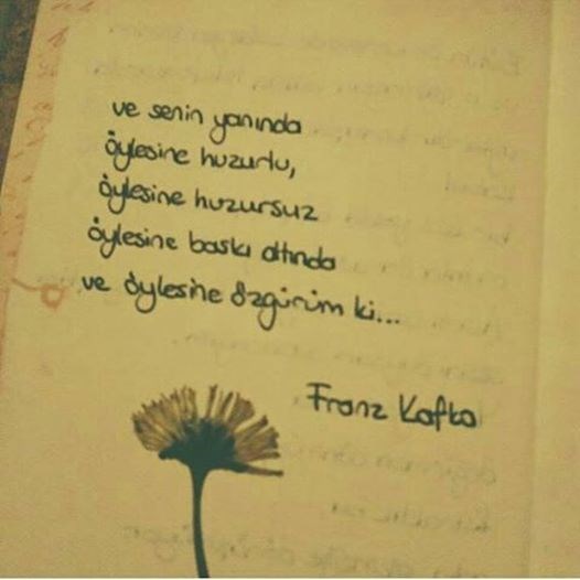 Evet tabikide 