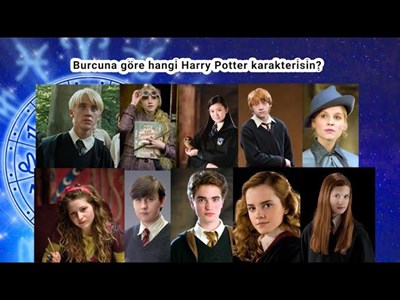 Burcuna göre hangi Harry potter karakterisin