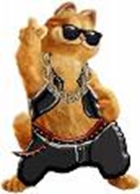 Hvor Populær Er Du???