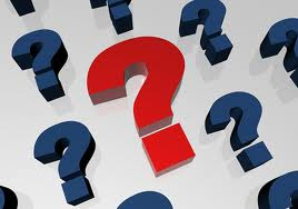 Quiz By Biers