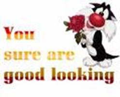 Good Or Bad Looking Test