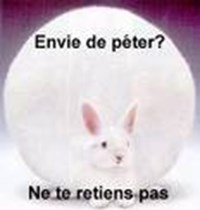 Quel Est Votre Niveau D'orgasmes?