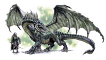 What Type Of Dragon Are You 