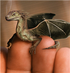 Dragon Taming