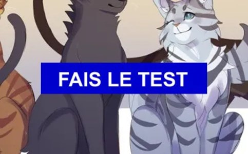 LGDC : Es-tu vraiment fan ? 
