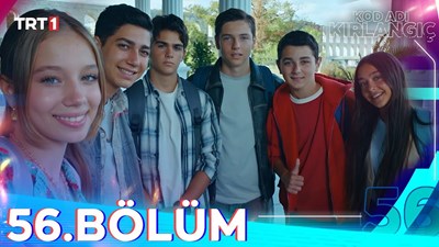 Kod adı kırlangıç 
