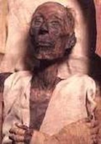 الحكومة 