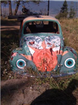 Vw Luv