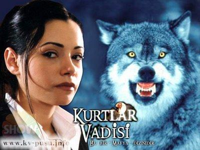 Kurtlar  Vadisinde Hangi Karaktersin