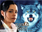 Kurtlar  Vadisinde Hangi Karaktersin