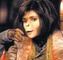 Donkey Or Monkey