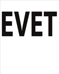 Referandum Evet Mi? Hayır Mı?
