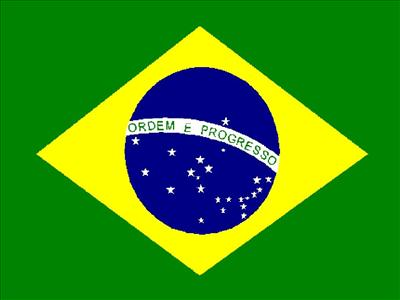 Which Country Will Win The Fifa World Cup 2010?