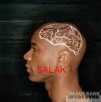 Akıllı Mı Salak Mı