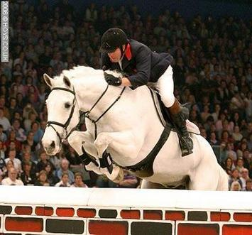What Type Of Horse Job Are You Going To Have When 