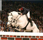 What Type Of Horse Job Are You Going To Have When 
