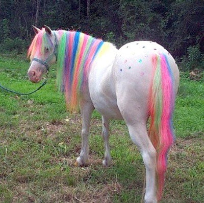 My Little Pony Yasin Kac?
