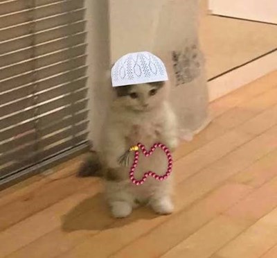 Nasıl bir kişisin