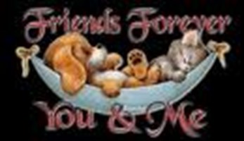 What Kind Of Friend Are You?