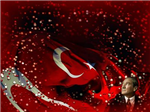 Seni Kim Ne Kadar Seviyor