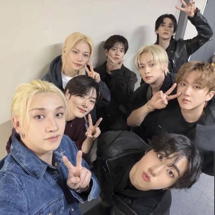 Hangi Stray Kids üyesi sana aşık olurdu? 