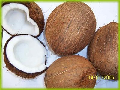 Appels Or Coconut