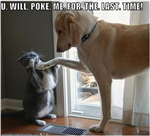 Pokes