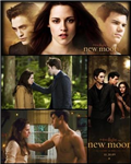 Twilight