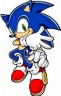 Sonic Or Shadow