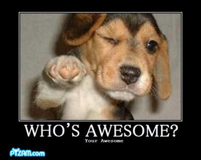 Are You Awesome Or Unawesome Today?