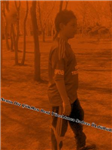 Kavga