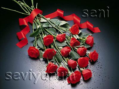 Gerçekten Seviyormusun?
