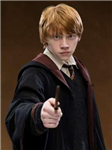 Harry Potter'da Hangi Karaktersin ?