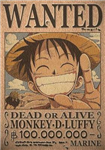 Qui Est Le Personnage De One Piece Etes Vous.