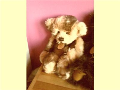 Which Charlie Bear Are You ?