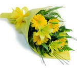Cheerful Thoughts 