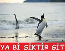 Nasıl Birisin
