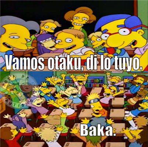¿Baka?