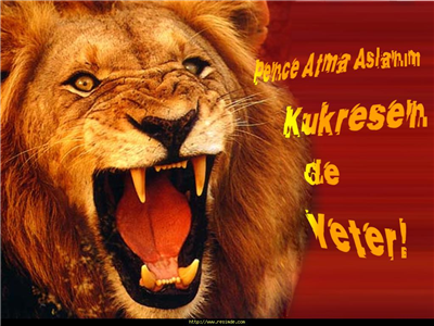 sanş