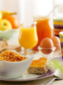 La Nutrition Et Vous