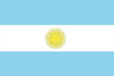 Who Will Win Fifa World Cup 2010?