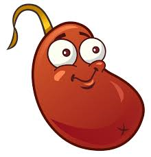 Cuanto Sabes De Pvz