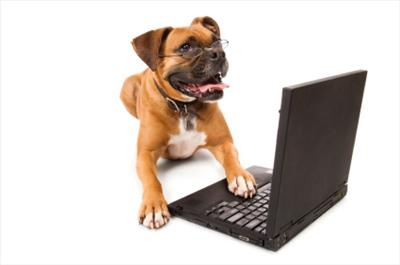 So You Think You Know About Dogs?