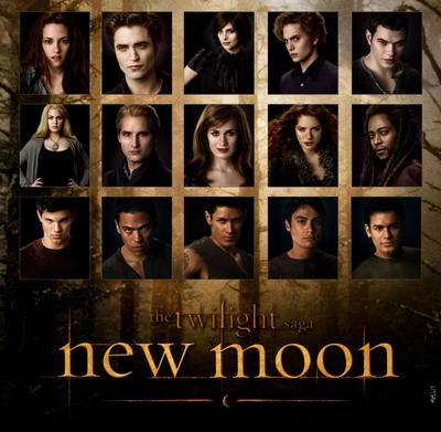 New Moon Quiz